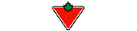 Canadian Tire